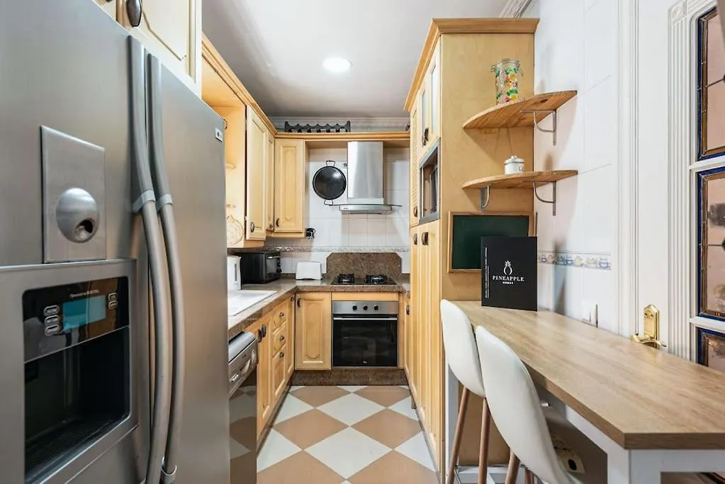 Pineapple Ollerias 27 Duplex With Great Terrace And Parking Apartment Malaga