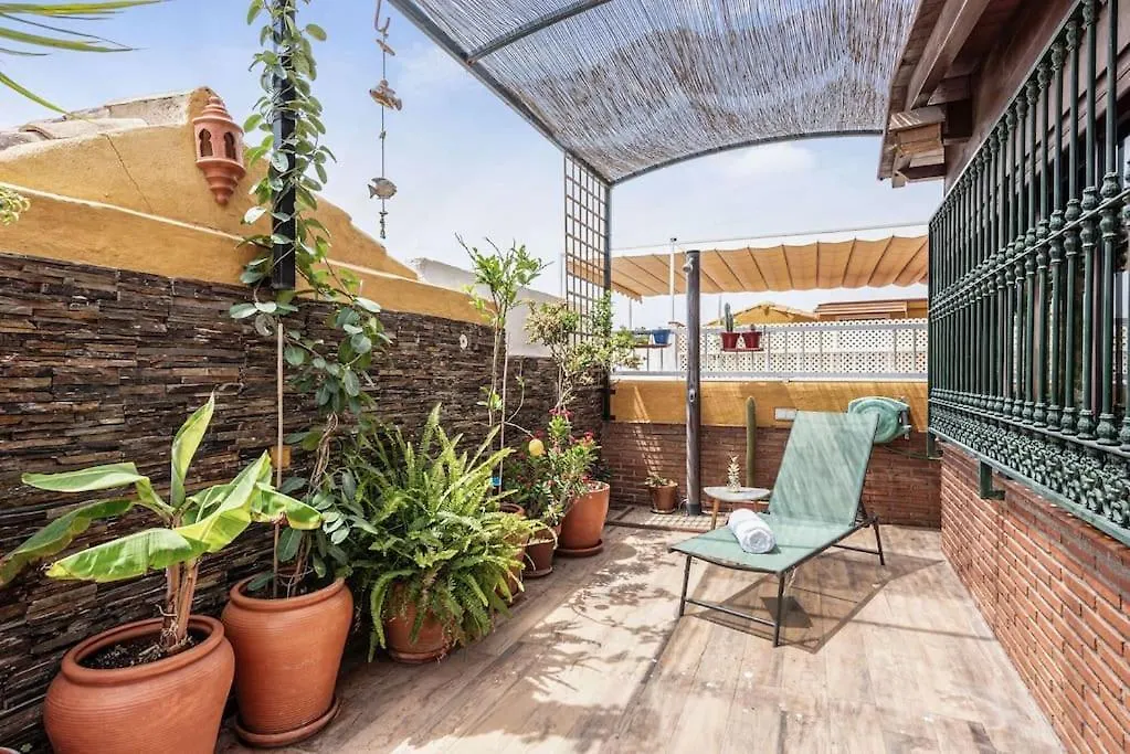 Pineapple Ollerias 27 Duplex With Great Terrace And Parking Apartment Malaga